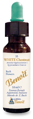 FIORI DI BACH BENOIT WHITE CHESTNUT 10 ML - farmasconti.eu