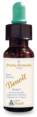 PENTA REMEDY BENOIT 30 ML - farmasconti.eu