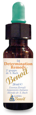 DETERMINATION REMEDY 28 ML - farmasconti.eu