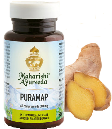 PURAMAP 60 COMPRESSE - farmasconti.eu