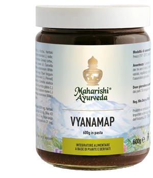 VYANAMAP PASTA 600 G - farmasconti.eu