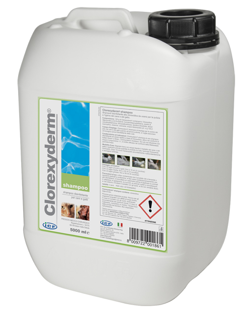 CLOREXYDERM SHAMPOO 5 LITRI - farmasconti.eu