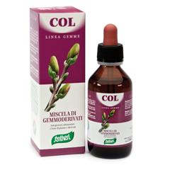 ZEFIRUS COL LINEA GEMME - farmasconti.eu