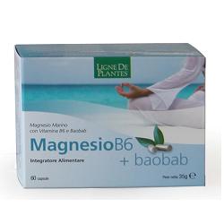 MAGNESIO B6 + BAOBAB 60 CAPSULE - farmasconti.eu
