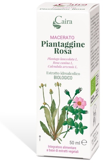 CAIRA PIANTAGGINE ROSA MACERATO IDROALCOLICO GOCCE 50 ML - farmasconti.eu