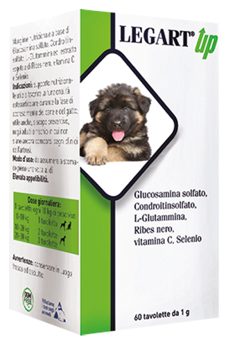 LEGART UP 60 COMPRESSE DA 1 G - farmasconti.eu