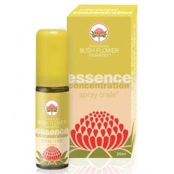 CONCENTRATION SPRAY ORALE 20 ML - farmasconti.eu