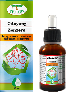 CITOYANG ZENZERO GOCCE FLACONCINO 50 ML - farmasconti.eu