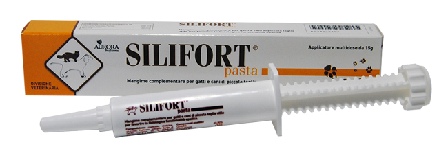 SILIFORT PASTA OS SIRINGA 15 G - farmasconti.eu