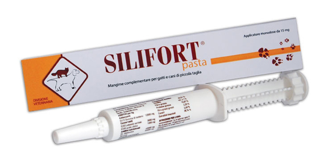 SILIFORT PASTA OS SIRINGA 30 G - farmasconti.eu
