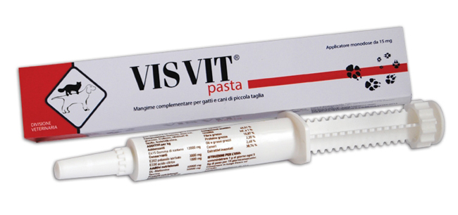 VISVIT PASTA OS SIRINGA 15 G - farmasconti.eu