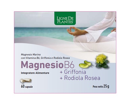 MAGNESIO B6 + GRIFFONIA + RODIOLA 60 CAPSULE - farmasconti.eu