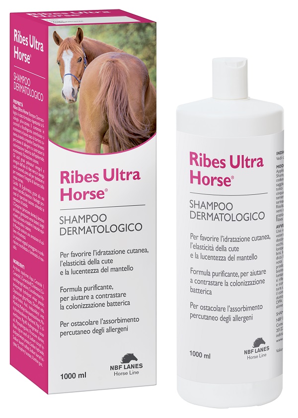 RIBES HORSE ULTRA SHAMPOO DERMATOLOGICO 1 LITRO - farmasconti.eu