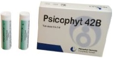 PSICOPHYT REMEDY 42B 4 TUBI 1,2G - farmasconti.eu