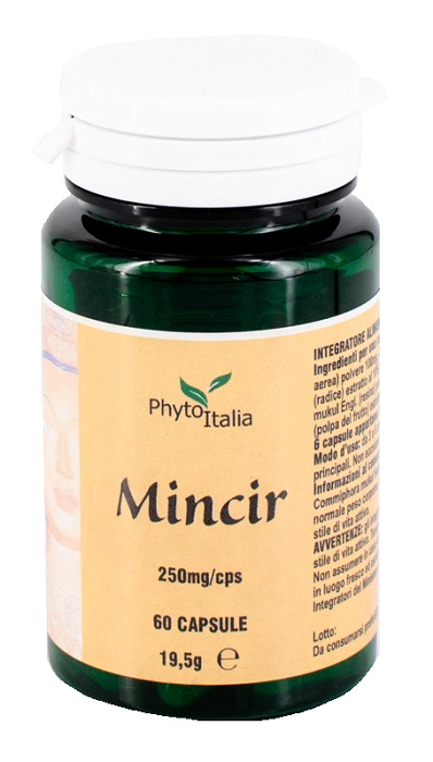 MINCEUR AYURVED 60 CAPSULE - farmasconti.eu
