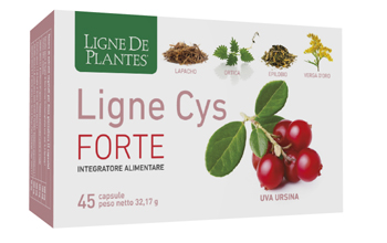LIGNE CYS FORTE 45 CAPSULE - farmasconti.eu