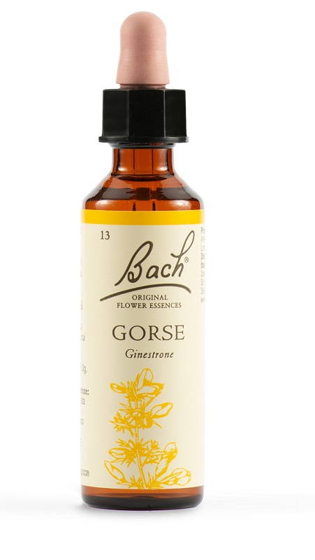 GORSE BACH ORIG 20 ML - farmasconti.eu