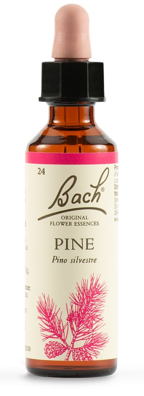 PINE BACH ORIG 20 ML - farmasconti.eu