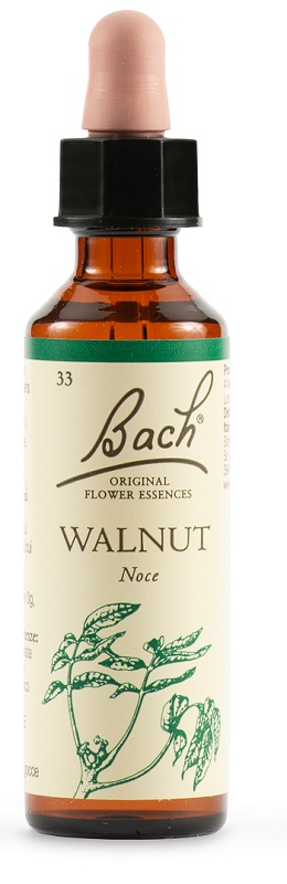 WALNUT BACH ORIG 20 ML - farmasconti.eu