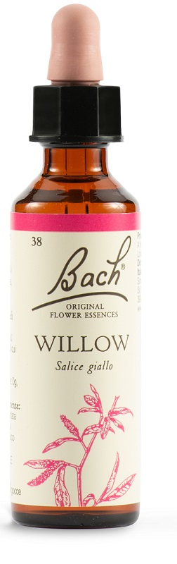 WILLOW BACH ORIG 20 ML - farmasconti.eu