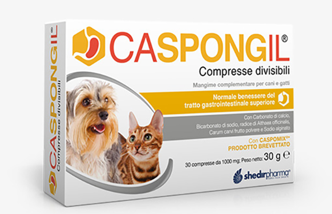 CASPONGIL 30 COMPRESSE DIVISIBILI - farmasconti.eu
