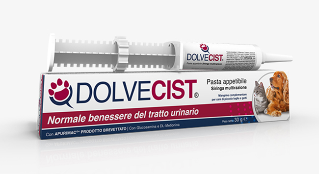 DOLVECIST PASTA SIRINGA 30 G - farmasconti.eu