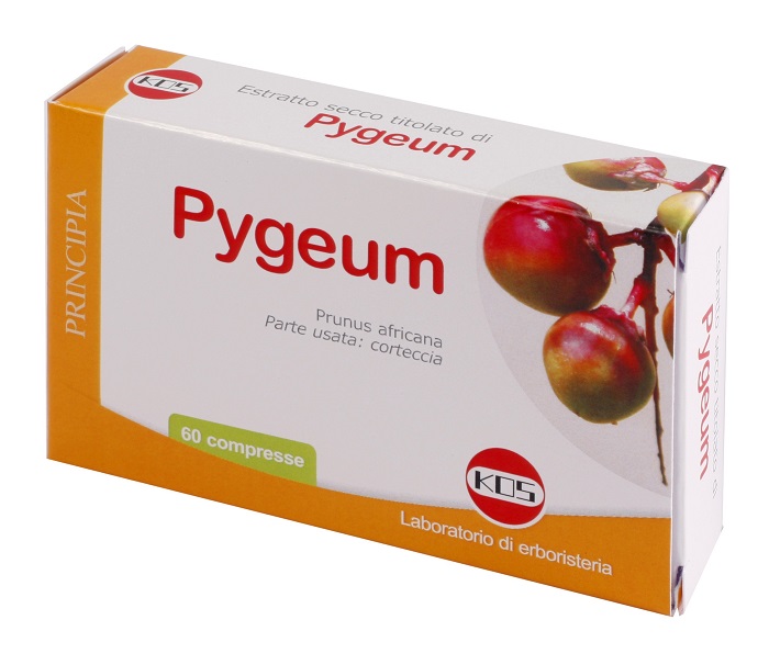 PYGEUM ESTRATTO SECCO 60 COMPRESSE - farmasconti.eu