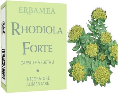 RHODIOLA FORTE 24 CAPSULE - farmasconti.eu