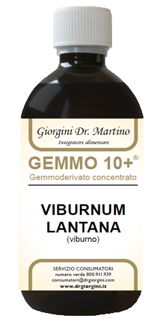 VIBURNO LIQUIDO ANALCOLICO GEMMO 10+ 500 ML - farmasconti.eu