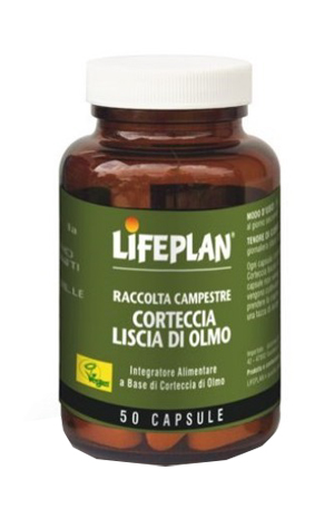 CORTECCIA LISCIA DI OLMO 50 CAPSULE - farmasconti.eu