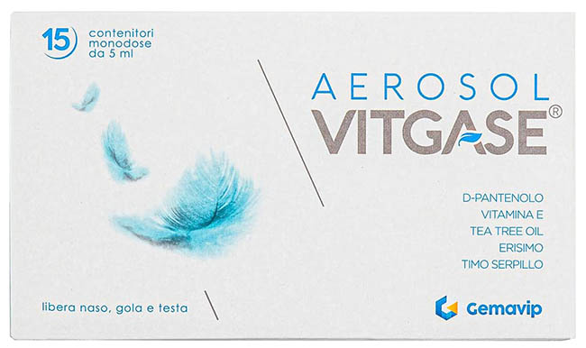 VITGASE AEROSOL 15 FLACONCINI 5 ML - farmasconti.eu