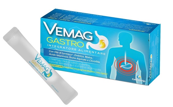 VEMAG GASTRO 20 STICK - farmasconti.eu