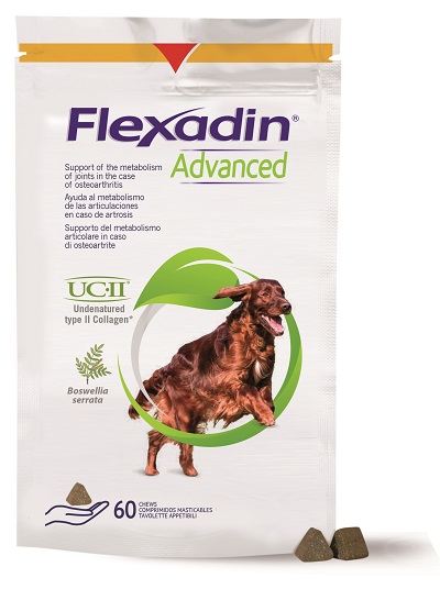 FLEXADIN ADVANCED CANE TUTTE LE TAGLIE 60 TAVOLETTE APPETIBILI - farmasconti.eu