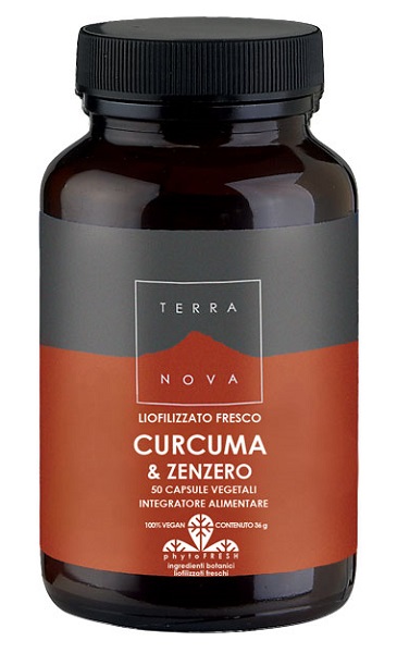 TERRANOVA CURCUMA 400MG/ZENZERO 200MG 50 CAPSULE - farmasconti.eu