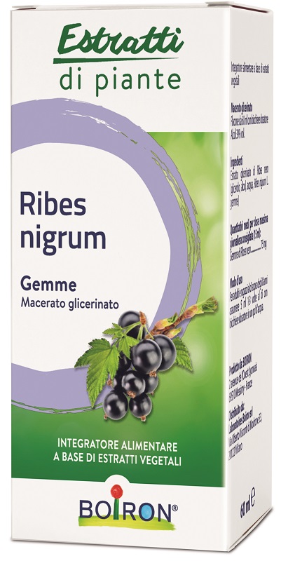 RIBES NIGRUM BOIRON MACERATO GLICERICO 60 ML - farmasconti.eu