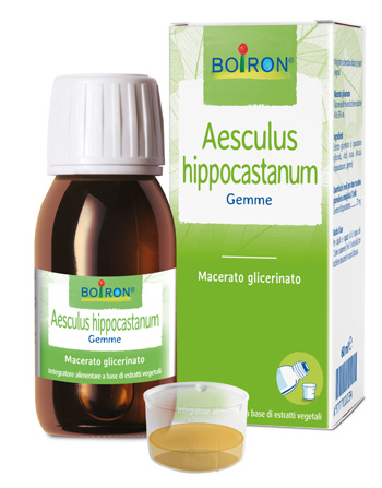 AESCULUS HIPP BOIRON MACERATO GLICERICO 60 ML - farmasconti.eu