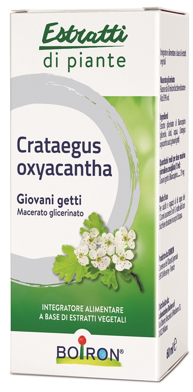 CRATAEGUS BOIRON MACERATO GLICERICO 60 ML - farmasconti.eu