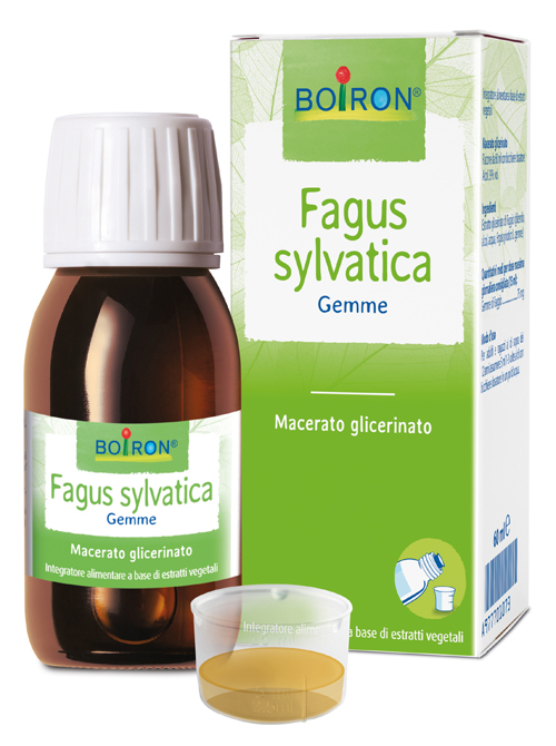 FAGUS SYLVATICA BOIRON MACERATO GLICERICO 60 ML - farmasconti.eu