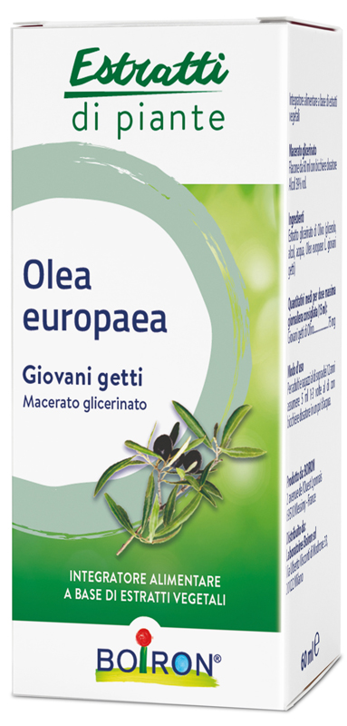 OLEA EUROPAEA BOIRON MACERATO GLICERICO 60 ML - farmasconti.eu