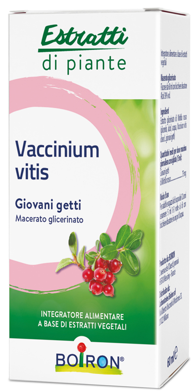 VACCINIUM VITIS MACERATO GLICERICO 60 ML - farmasconti.eu