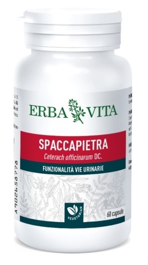 SPACCAPIETRA 60 CAPSULE - farmasconti.eu