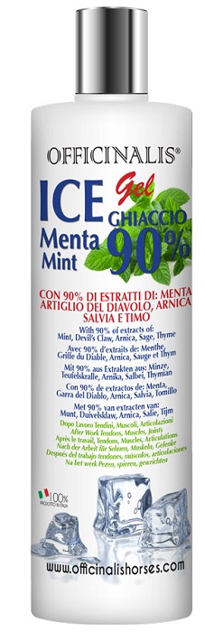 ICE GEL 90% 250 ML - farmasconti.eu