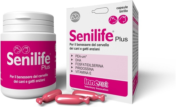 SENILIFE PLUS 30 CAPSULE - farmasconti.eu