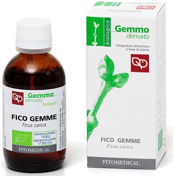 FICO MACERATO GLICERICO 50 ML BIO - farmasconti.eu