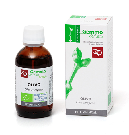 OLIVO MACERATO GLICERICO 50 ML BIO - farmasconti.eu