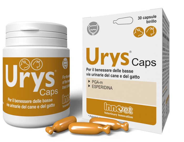 URYS CAPS 30 CAPSULE - farmasconti.eu