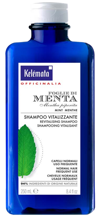 SHAMPOO MENTA 250 ML - farmasconti.eu